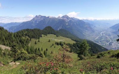Sortie d’automne